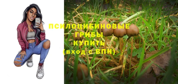 первитин Козловка
