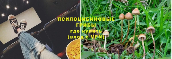 первитин Козловка